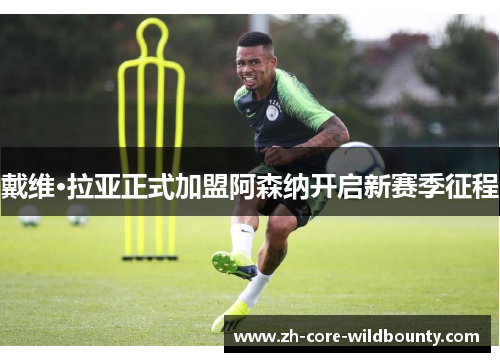 戴维·拉亚正式加盟阿森纳开启新赛季征程