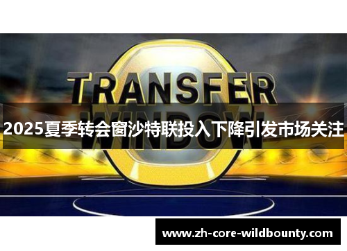2025夏季转会窗沙特联投入下降引发市场关注 2025夏季转会窗沙特联投入下降引发市场关注